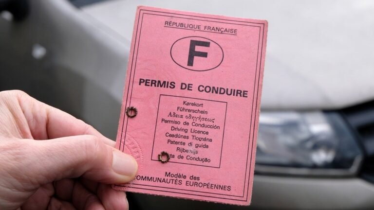 cest officiel le permis de conduire rose va bientot disparaitre la date pour le changer approche la voici